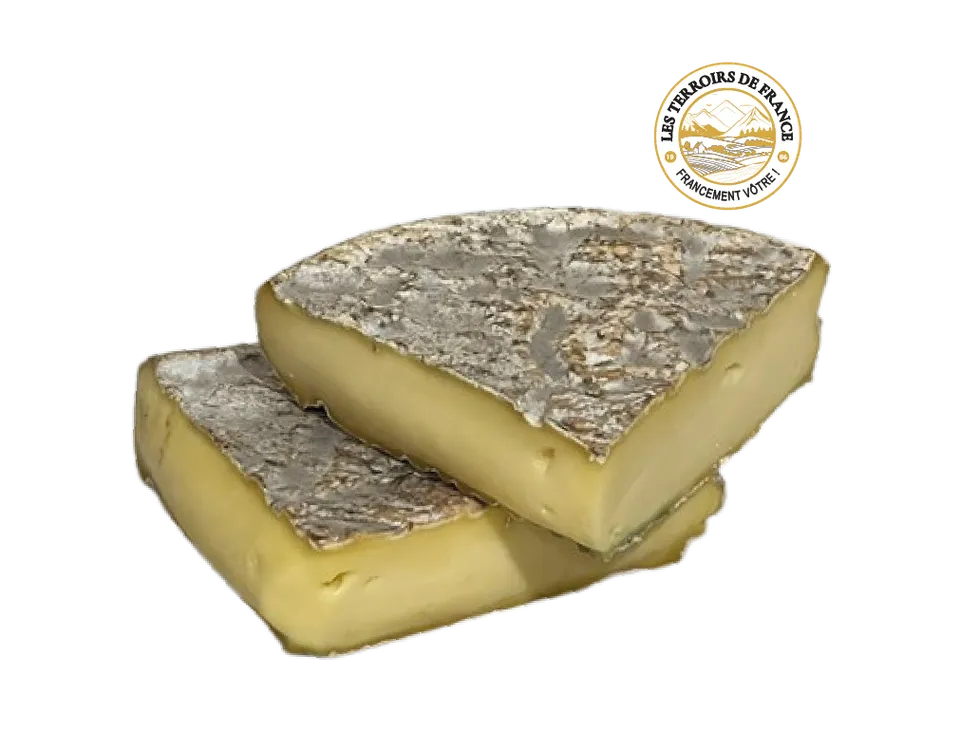 Les Terroirs de France Saint Nectaire Fermier AOP lait cru
