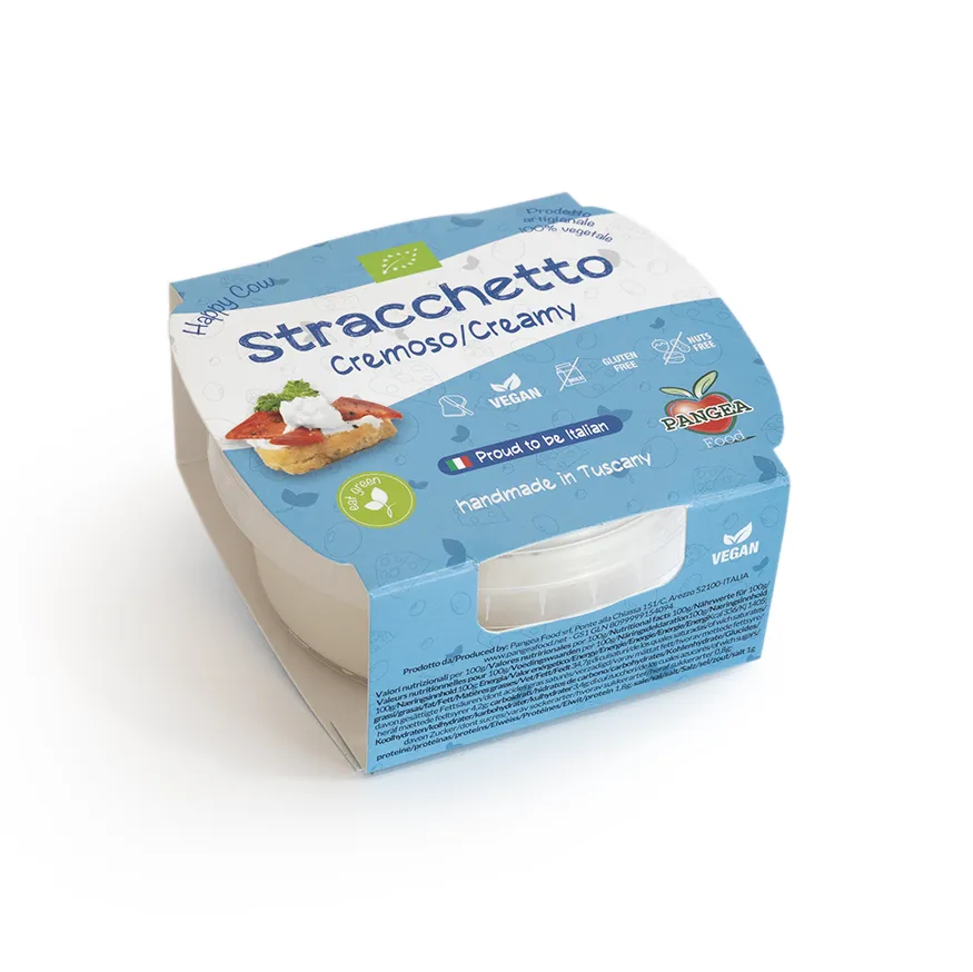 Gondino Freschi Stracchetto fromage végétal 170g au soja
