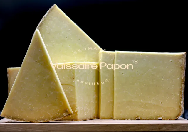 Vaissaire Papon Salers Fermier AOP Fromage Lait Cru