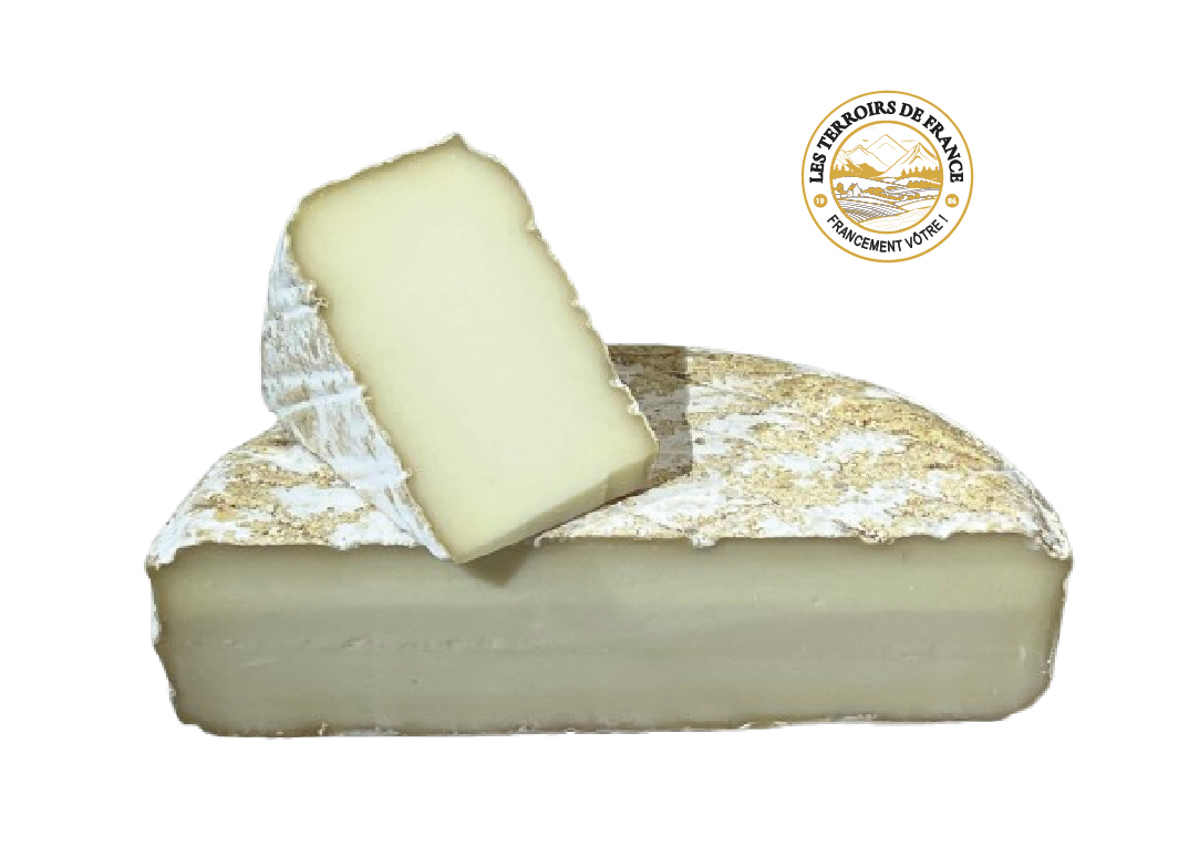 Les Terroirs de France Tome Caussenard fromage brebis thermisé