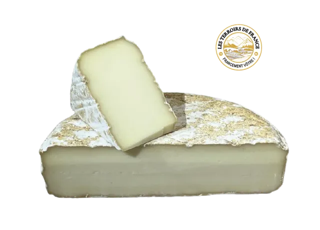 Les Terroirs de France Tome Caussenard fromage brebis thermisé