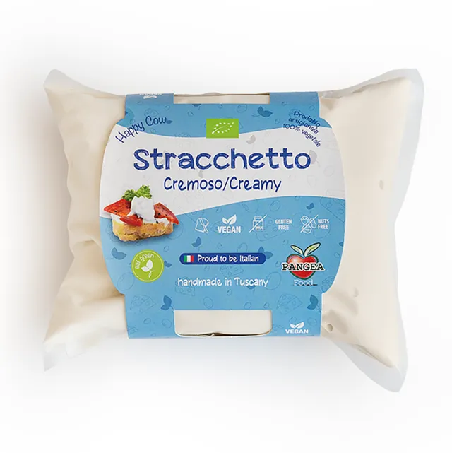 Gondino Freschi Stracchetto fromage frais végétal BIO 450g soja