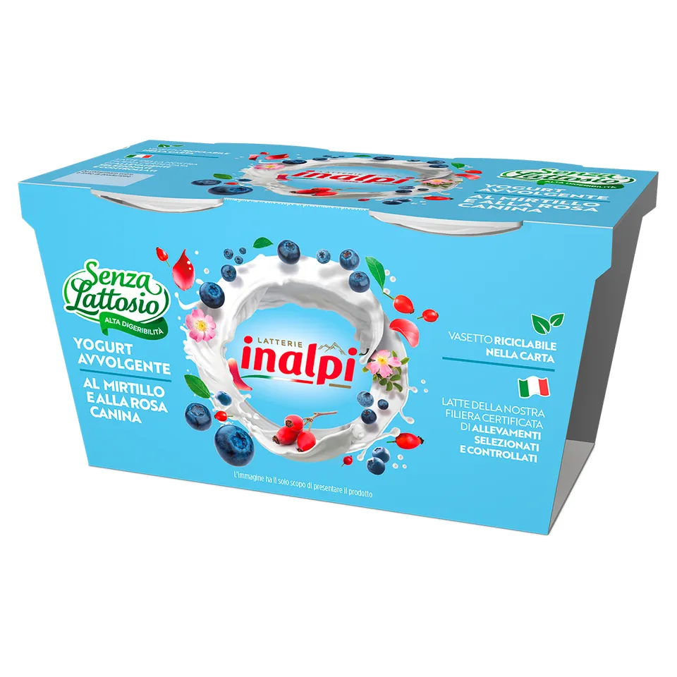Inalpi Yaourt sans lactose myrtille 2x125g entier