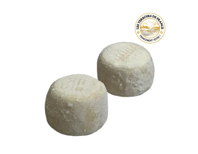 Crottin de Chavignol AOP fromage de chèvre lait cru