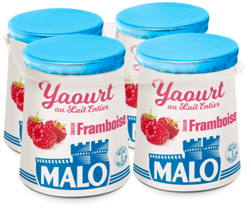 Malo Les Yaourts yaourt framboise au lait frais