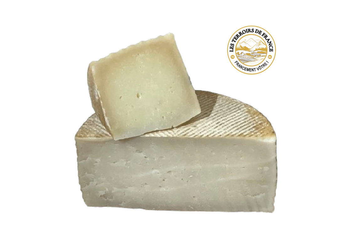 Les Terroirs de France Les Fromages Manchego AOP tomme brebis