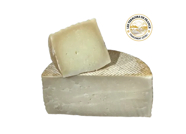 Les Terroirs de France Les Fromages Manchego AOP tomme brebis
